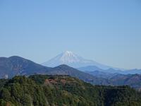 ハイキングコース途中から見た富士山