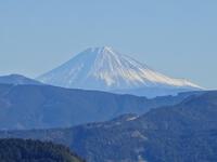 初富士
