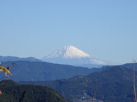 冠雪の富士山