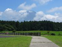 朝霧高原から見た富士山