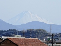 天竜川左岸の堤防道路から見た富士山