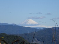 下山途中の富士山