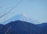 尾根道から見た富士山