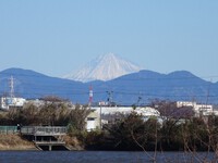 富士山