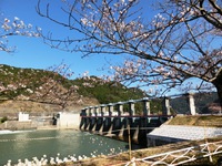 船明ダム運動公園
