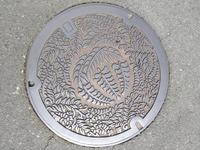 旧磐田郡豊田町のマンホールの蓋