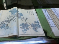 画傳三集艸公等卉譜