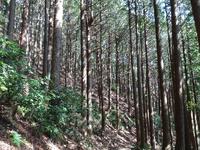 下山途中の風景