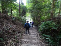 下山