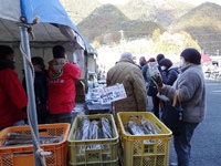 「信州松本平山形村のごぼう」