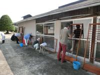 紙剥がし