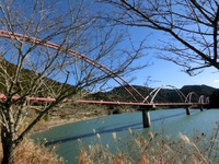 「夢のかけ橋」