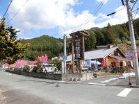 道の駅・天竜相津「花桃の里」