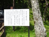 「花の木自生地」の看板