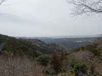 春霞の遠望