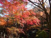法多山尊永寺の紅葉