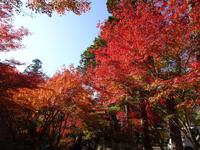 法多山尊永寺の紅葉