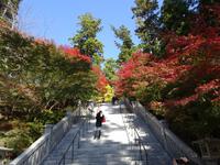 法多山尊永寺の紅葉