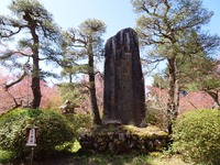 「天下第一櫻」の碑