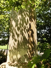 「義勈奉公」の碑