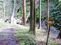 「林道　大楽地線」の標識