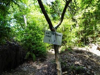 「山頂　三角点⇖　小笠神社⇗」のガイド標識