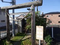 市神様　秋葉様