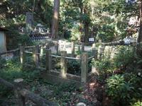 井戸