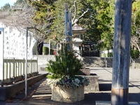 井伊谷宮の門松
