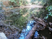 貯水池