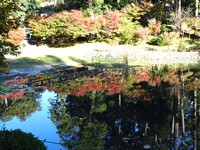 放生池の「逆さ紅葉」