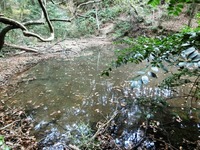 貯水池