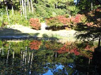 放生池の「逆さ紅葉」