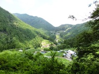 「今田のケルンコル」
