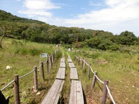 葦毛湿原