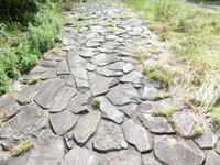 旧街道に敷かれた根府川石