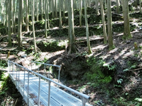 廃村の石積み