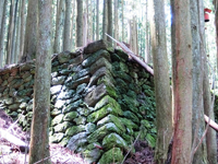 廃村の石積み