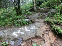 「岩場コース」