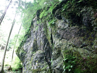 社務所裏の巨岩