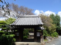 「しんしろまちなか」寺社巡り④―浄泉寺