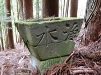 「浄水」鉢