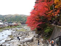 「香嵐渓」の紅葉