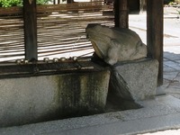 手水舎のカエル