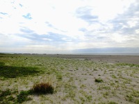 竜洋海岸