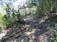 勝越峠の山道