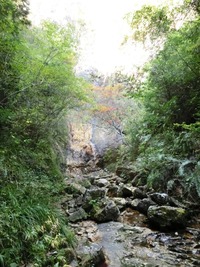 「亀石の滝」