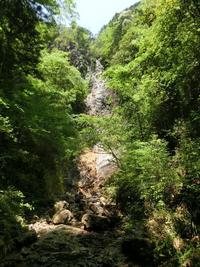 「亀石の滝」