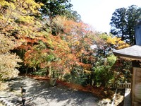 秋葉神社上社の紅葉