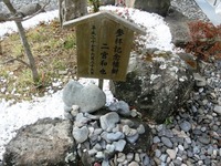 二宮和也さんの「参拝記念植樹」前